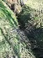 Erholung unter Ex-Teich