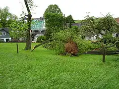 Sturmschäden am 20. Mai 2006 in Peppinghausen