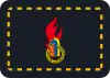 stv. Landesjugendfeuerwehrwart/-in