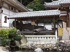 Kiefer des Yoshitsune