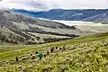 Wanderer über dem Lamar Valley
