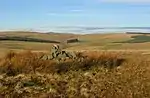 Carcant Hill