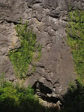 Von-der-Becke-Höhle