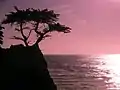 Sonnenuntergang am  Pebble Beach, Kalifornien