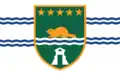 Flagge von Surrey