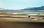 Die typischen Schwarzerdeböden der Bălți-Steppe