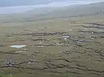 Flow Country