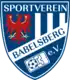 SV Babelsberg 03
