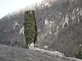 Sveta Jana, Turanj