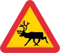freilaufende Ren