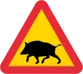 Wildschweine
