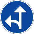 vorgeschriebene Fahrtrichtung – geradeaus und links