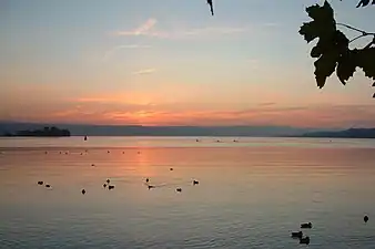 Sonnenuntergang in Rapperswil