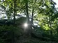 Sibyllenhöhle mit durchstrahlender Sonne zum Sonnenuntergang der Sommersonnenwende 2014
