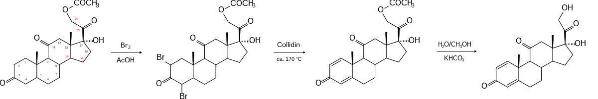 Synthese von Prednison mit Bezifferung der C-Atome