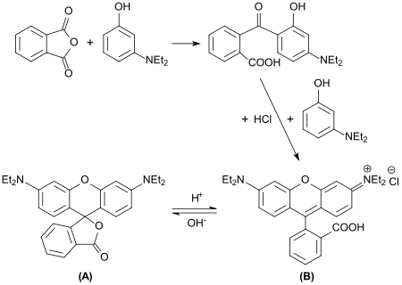 Synthese von Rhodamin B
