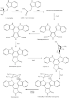 Synthese von Staurosporin