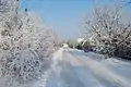 Tárnok im Winter