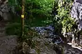 Falkenbach