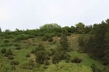 Hunsenberg