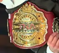 Der TNA King Of The Mountain Championship-Gürtel (2008–2016)