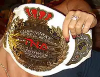 Der TNA Knockouts World Championship-Gürtel (2007–2017)