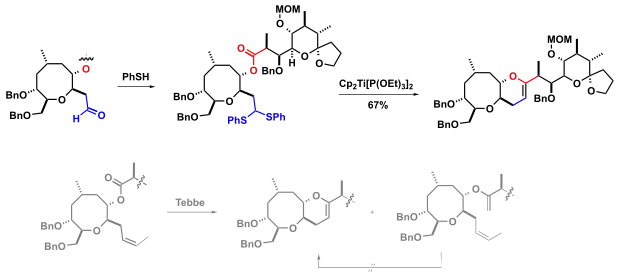 Totalsynthese Ciguatoxin