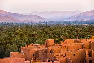 Tamnougalt – Ortsbild und Oasenlandschaft am Oued Draa