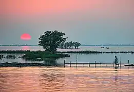 Tanguar Haor bei Sonnenuntergang