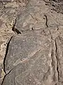 Taouz, Felszeichnung
