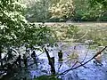 Teich beim Gut Sunder