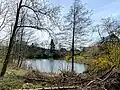 Teich in Vorst - gespeist vom Vorster Bach