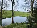 Teich in Auf dem Wiebusch