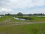 Teichlandschaft