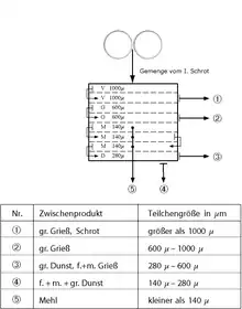 Schema Teilchengröße