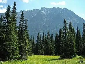 Kôprová dolina, Slowakei