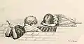 Illustration aus dem Buch London Arabs (1890)