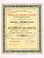 Aktie der Compagnie du Chemin de fer Territet–Mont-Fleuri vom 1. November 1909