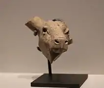Rinderkopf