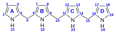 Nummerierung der Tetrapyrrole