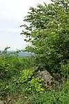 Das Naturdenkmal "Teufelsstein" am Waschberg besteht aus zwei großen Granit-Scherlingen.