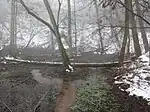 Quelle Klingespring im NSG