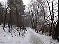 Südöstlicher Eingang am Tornowoer See