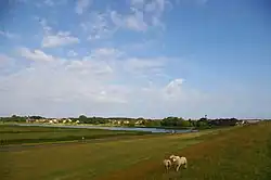 Blick auf De Cocksdorp