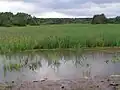 Langsamer Wiederanstau der Soeste (Juli 2009)