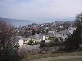 Blick auf Thalwil von Norden