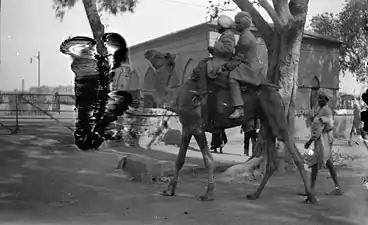 Indian natives riding a dromader camel