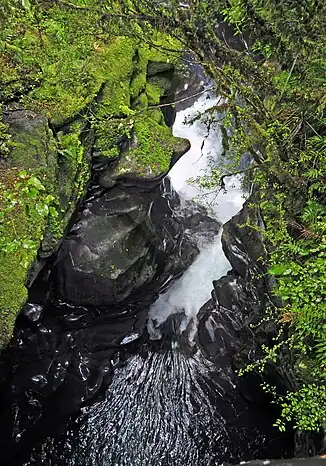 Blick auf eine Verengung des Cleddau River bei The Chasm