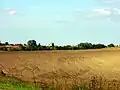 Felder bei Igar