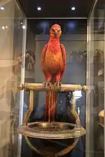 Farbfotografie von einer roten Vogelfigur in einer Vitrine. Er sitzt mit seinen großen Greifarmen auf einer goldenen Stange, die an einer Schale befestigt ist. Er hat einen kräftigen Körper und lange Federn. Durch die Spiegelung ist der Hintergrund schlecht zu erkennen.